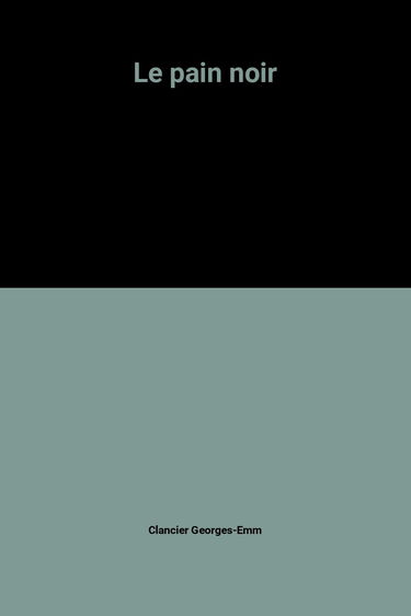 Le pain noir. Vol. 3. Les drapeaux de la ville