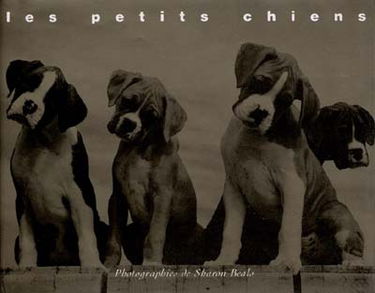 Les petits chiens