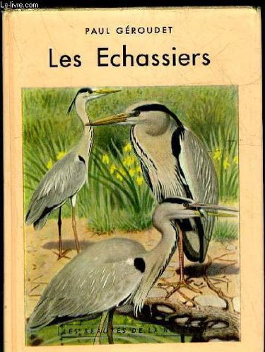 Jour de colère : les aventures africaines de Giuseppe Bergman