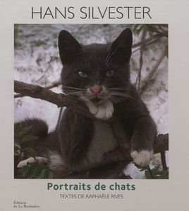 Portraits de chats