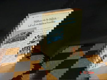 Le Lys dans la vallée