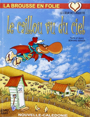 Couverture de Le caillou vu du ciel / tome 16