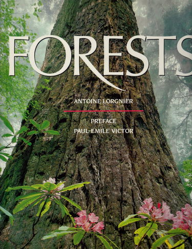 Forêts (version anglaise)