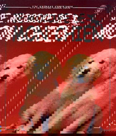 Je m'occupe de mon chien