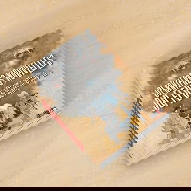 Dernières nouvelles du feu