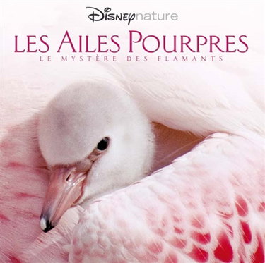 Couverture de Les ailes pourpres : le mystère des flamants par Walt Disney company