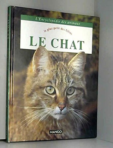 Le Chat : le plus petit des félins