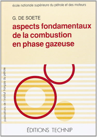 Aspects fondamentaux de la combustion en phase gazeuse