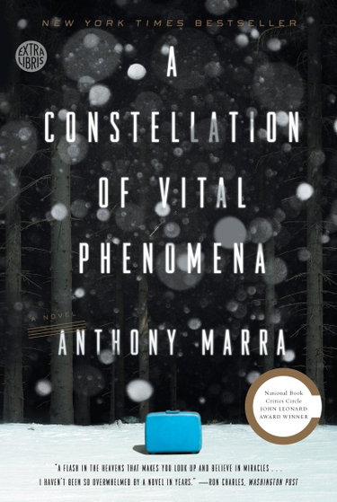 Couverture de A Constellation of Vital Phenomena: A Novel