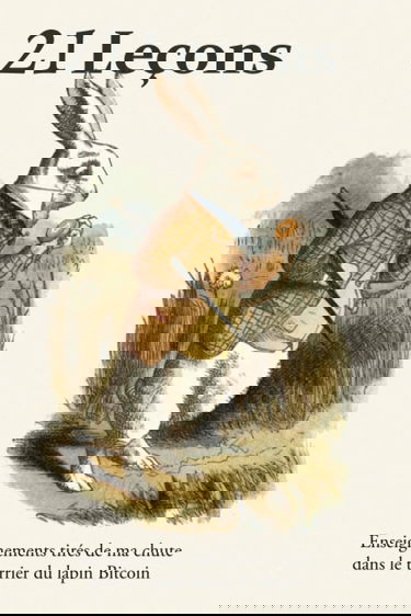 21 Leçons: Enseignements tirés de ma chute dans le terrier du lapin Bitcoin