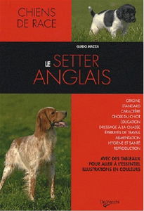 Le setter anglais