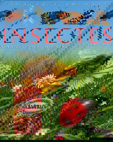 Les insectes: Pour les faire connaître aux enfants