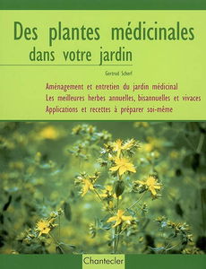 Des plantes médicinales dans votre jardin