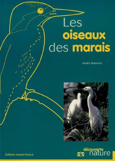 Les oiseaux du marais