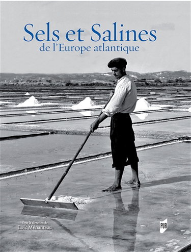 Couverture de Sels et salines de l'Europe atlantique