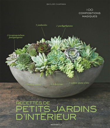Recettes de petits jardins d'intérieur : 100 compositions magiques au fil des saisons