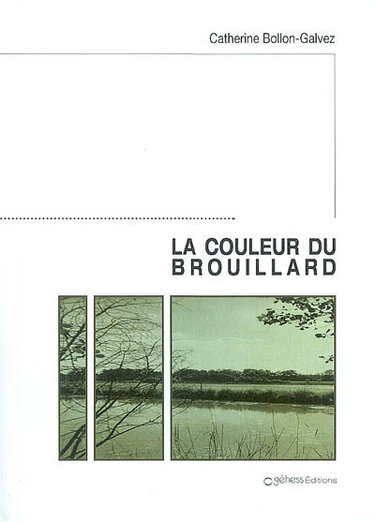 Couverture de La couleur du brouillard