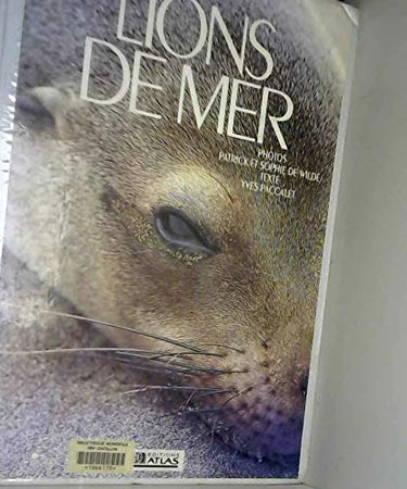 Lions de mer