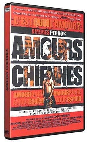 Couverture de Amours chiennes