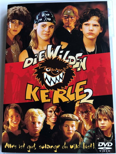 Couverture de Die wilden Kerle 2