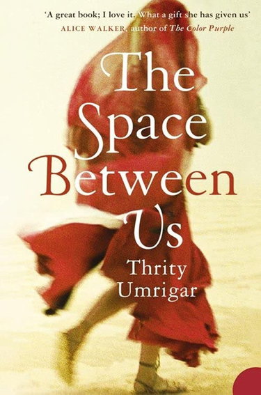 Couverture de The Space Between Us
