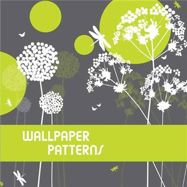 Couverture de Wallpaper Patterns (avec CD-ROM)