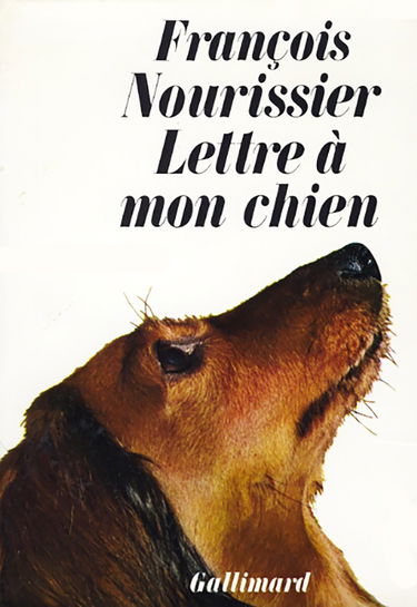 Lettre à mon chien