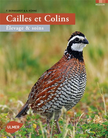 Cailles et colins : élevage et soins