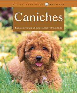 Caniche
