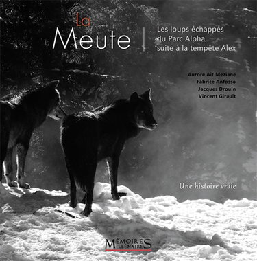 Couverture de La meute : les loups échappés du Parc Alpha suite à la tempête Alex