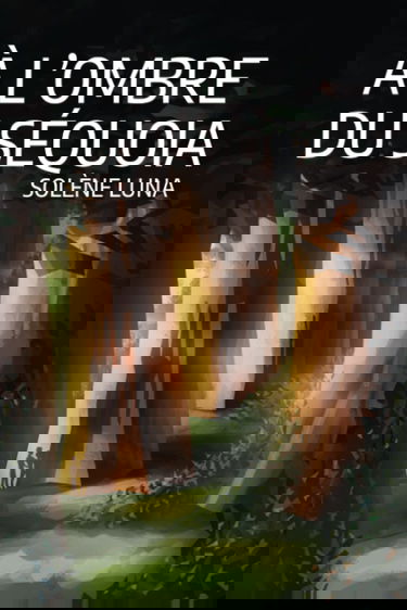 A l'ombre du Séquoia