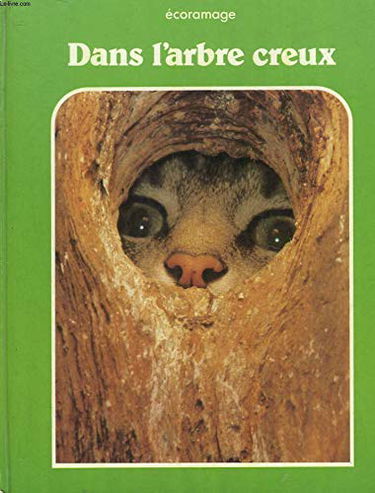 Dans l'arbre creux