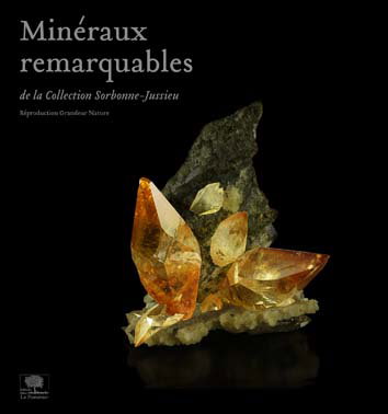 Minéraux remarquables : de la collection UPMC-La Sorbonne : reproduction grandeur nature. Remarkable minerals