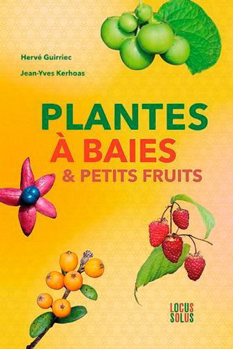 Plantes à baies & petits fruits