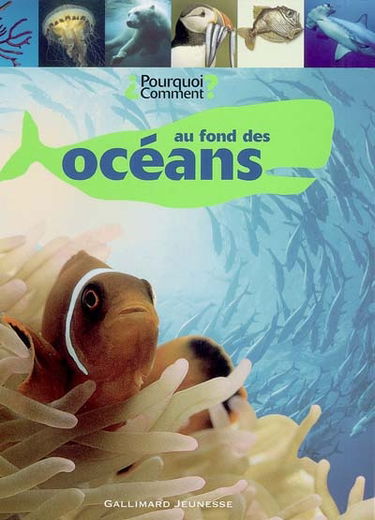 Au fond des océans