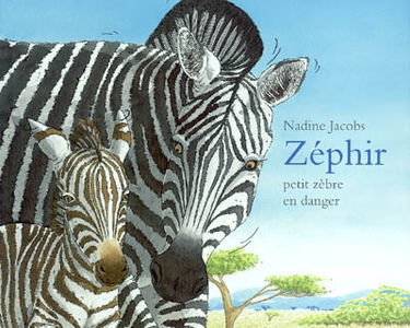 Zéphir, petit zèbre en danger