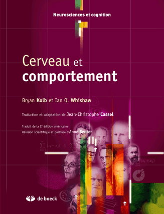 Cerveau & comportement