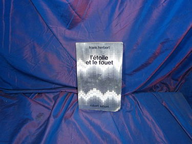 L'Etoile et le Fouet