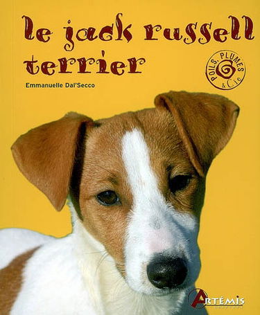 Le jack russell terrier
