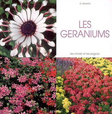 Couverture de Les géraniums : les choisir et les soigner