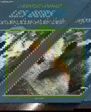 Les Ours : seigneurs des glaces et des forêts