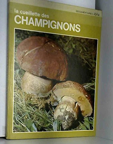 La cueillette des champignons