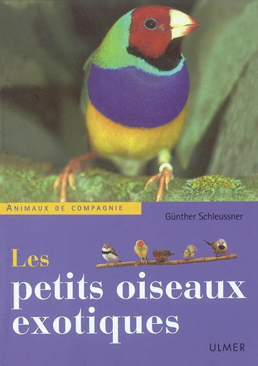 Les petits oiseaux exotiques