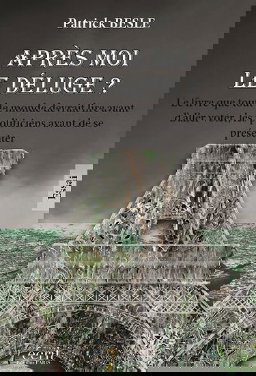 Après moi, le déluge ? Le livre que tout le monde devrait lire avant d’aller voter, les politiciens