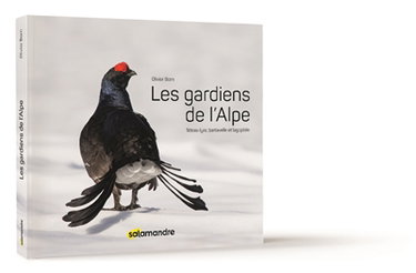 Les gardiens de l'Alpe : tétras-lyre, bartavelle et lagopède