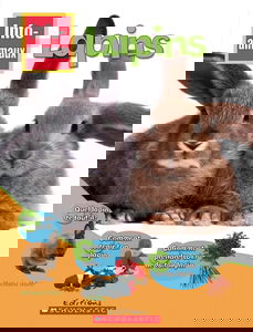 Info-Animaux: Lapins