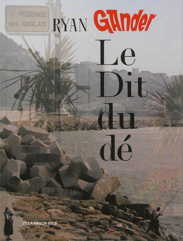 Couverture de Le dit du dé : Ryan Gander