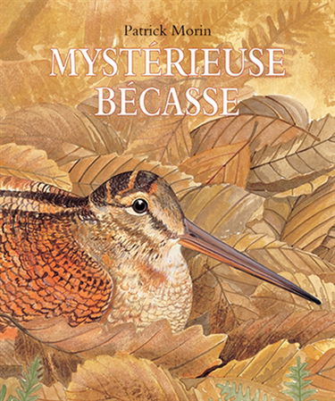 Mystérieuse bécasse