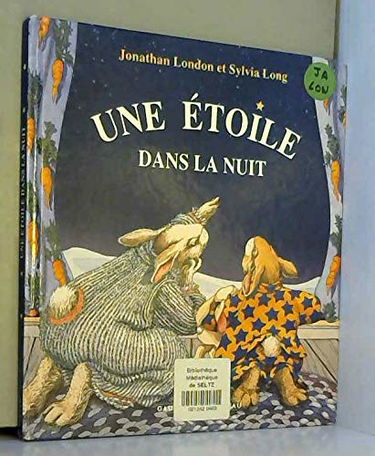 Une étoile dans la nuit