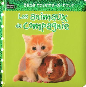 Les animaux de compagnie